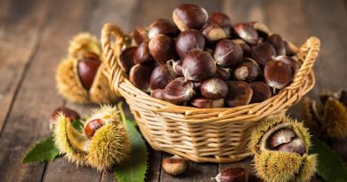 Varese, produzione castagne quasi dimezzata