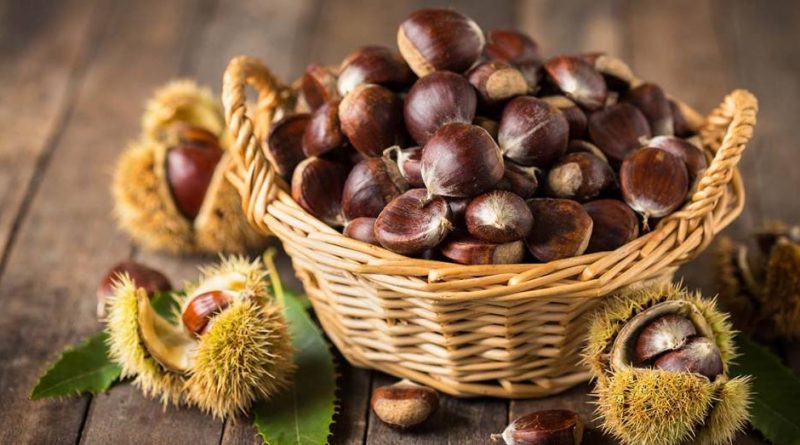 Varese, produzione castagne quasi dimezzata