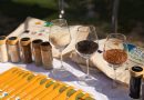 Turismo sostenibile e valorizzazione delle eccellenze locali nell’Alto Piemonte
