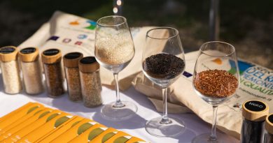 Turismo sostenibile e valorizzazione delle eccellenze locali nell’Alto Piemonte